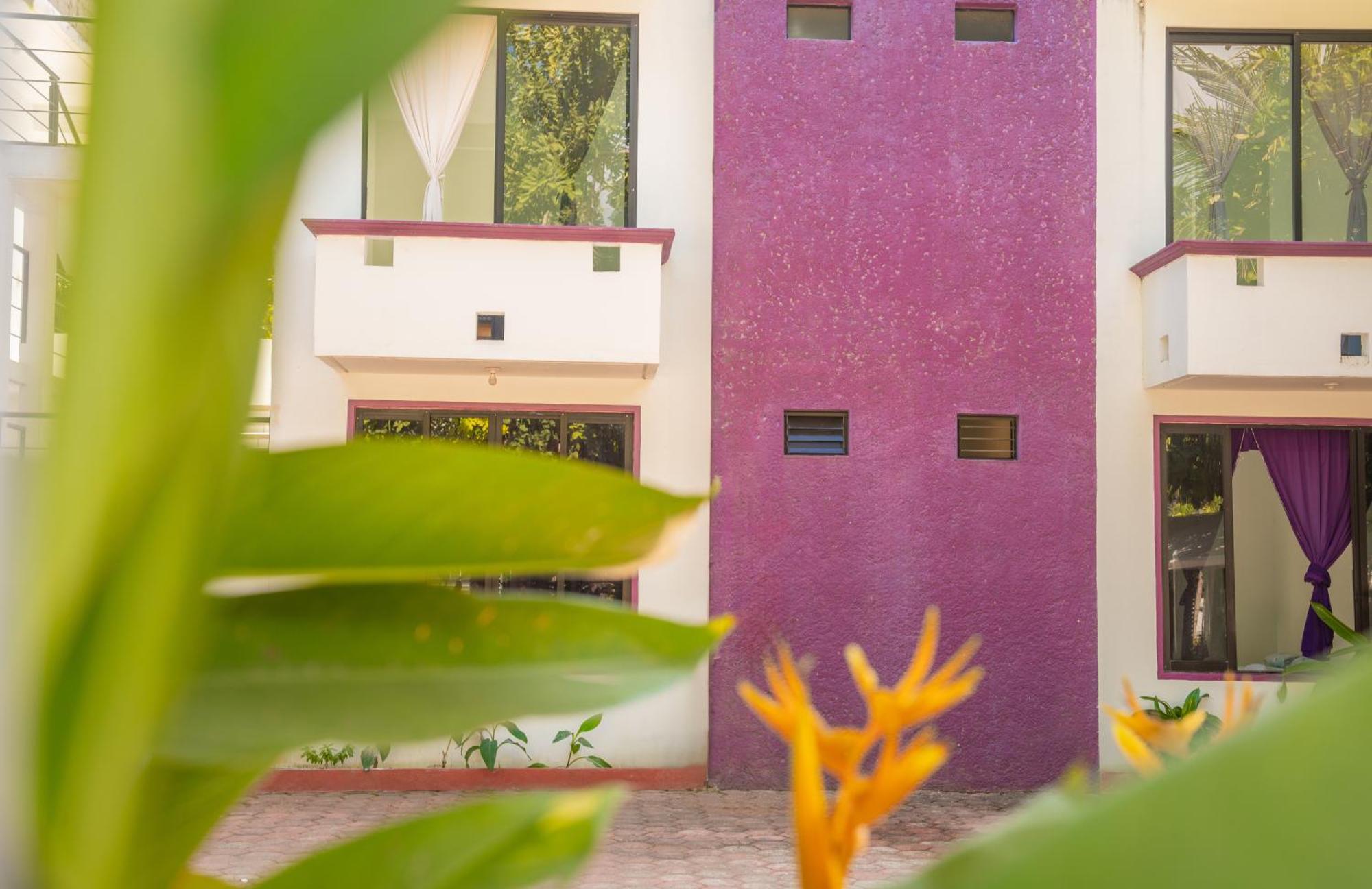 Hotel Palmarito Puerto Escondido  Exterior photo